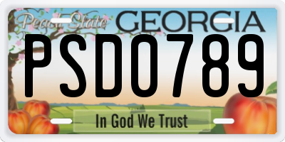 GA license plate PSD0789