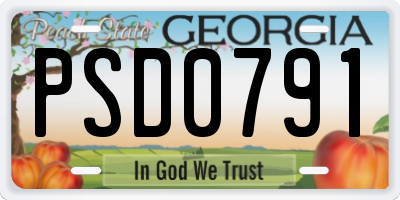 GA license plate PSD0791