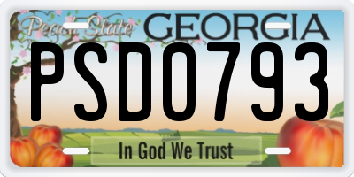 GA license plate PSD0793