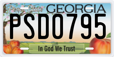GA license plate PSD0795