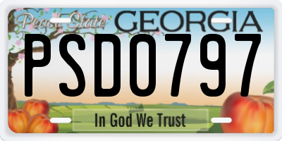 GA license plate PSD0797