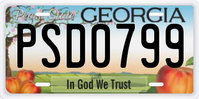 GA license plate PSD0799