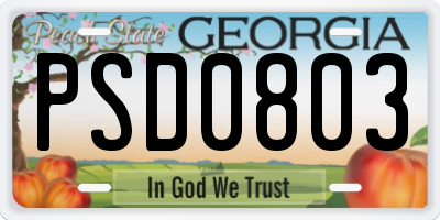 GA license plate PSD0803