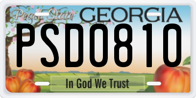 GA license plate PSD0810