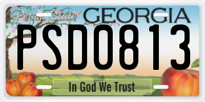 GA license plate PSD0813