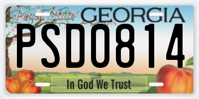 GA license plate PSD0814