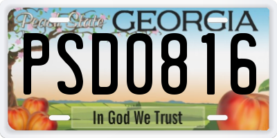 GA license plate PSD0816