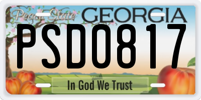 GA license plate PSD0817