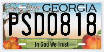GA license plate PSD0818