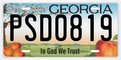 GA license plate PSD0819