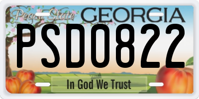 GA license plate PSD0822