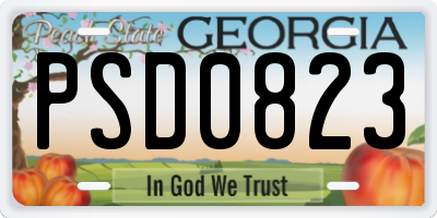 GA license plate PSD0823