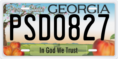 GA license plate PSD0827