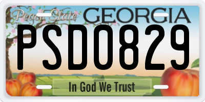 GA license plate PSD0829