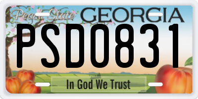 GA license plate PSD0831