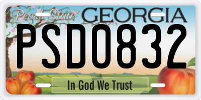 GA license plate PSD0832