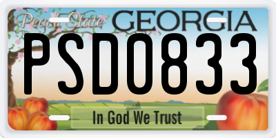 GA license plate PSD0833
