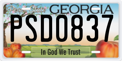 GA license plate PSD0837
