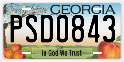 GA license plate PSD0843