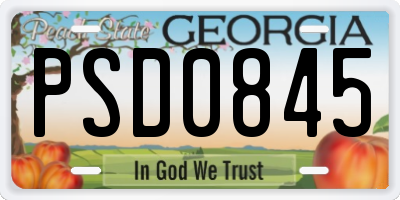 GA license plate PSD0845