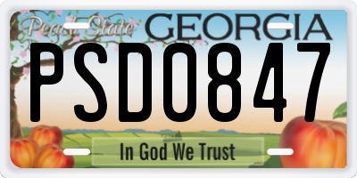 GA license plate PSD0847