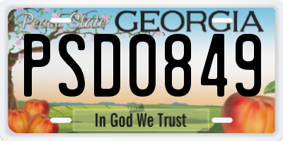 GA license plate PSD0849