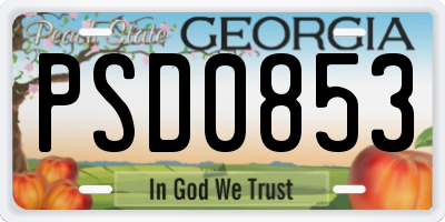 GA license plate PSD0853