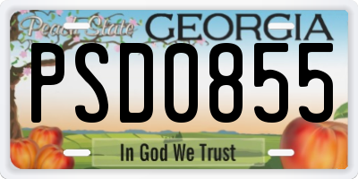 GA license plate PSD0855