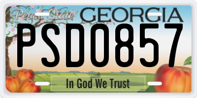 GA license plate PSD0857