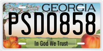 GA license plate PSD0858