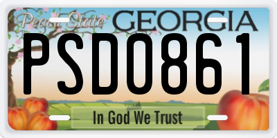 GA license plate PSD0861