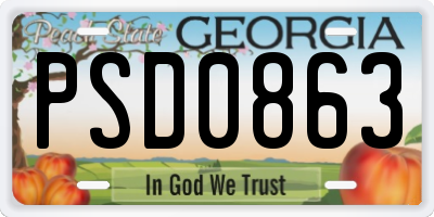 GA license plate PSD0863