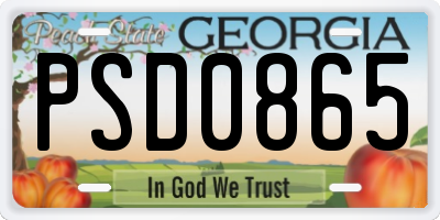 GA license plate PSD0865