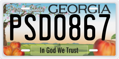 GA license plate PSD0867
