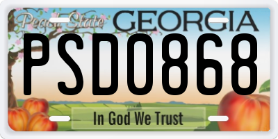 GA license plate PSD0868