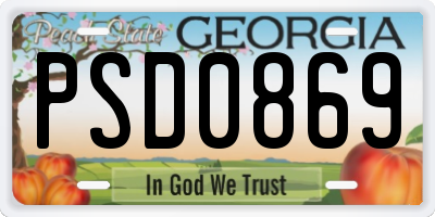 GA license plate PSD0869