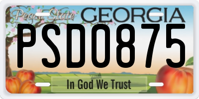 GA license plate PSD0875