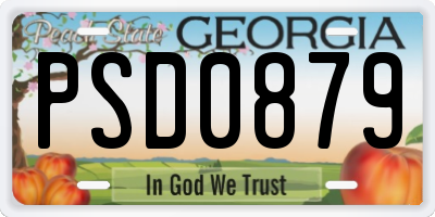 GA license plate PSD0879