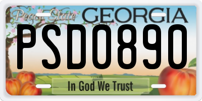 GA license plate PSD0890
