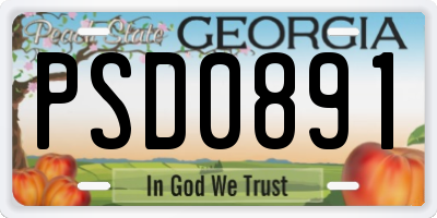 GA license plate PSD0891