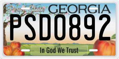 GA license plate PSD0892