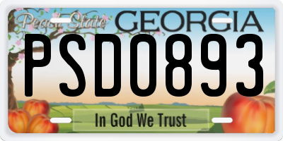 GA license plate PSD0893
