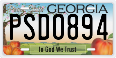 GA license plate PSD0894
