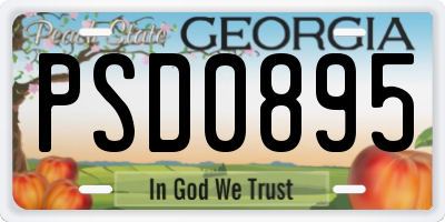GA license plate PSD0895