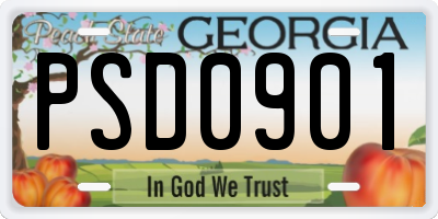 GA license plate PSD0901