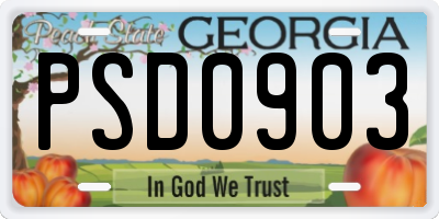GA license plate PSD0903