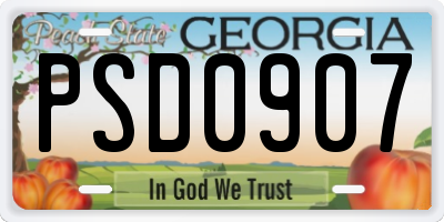 GA license plate PSD0907