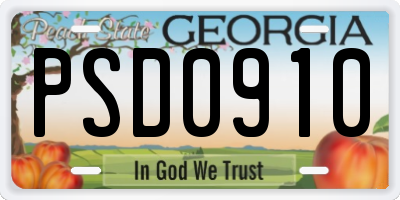 GA license plate PSD0910