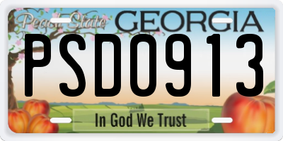 GA license plate PSD0913