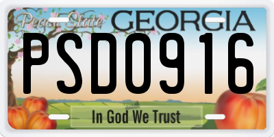 GA license plate PSD0916